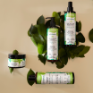 Actidetox Range - Detoxify and Revitalize Your Hair and Scalp | Activilong