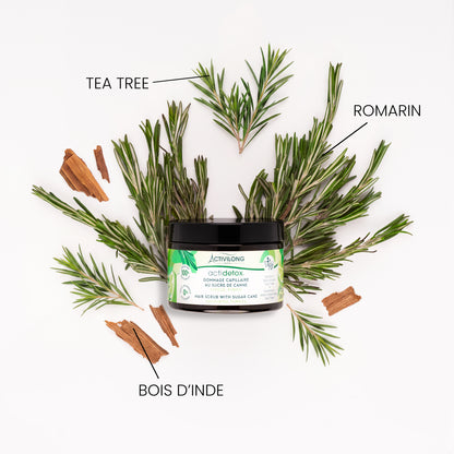 Pot de Gommage capillaire Actidetox entouré de ses actifs sur fond blanc : branches de romarin, rameaux de tea tree et morceaux d'écorce de bois d'Inde, avec les mentions « Tea tree », « Romarin » et « Bois d'Inde ».
